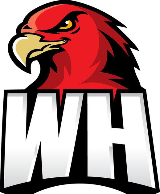 Wollongong Hawks 2008-Pres Secondary Logo iron on transfers for T-shirts